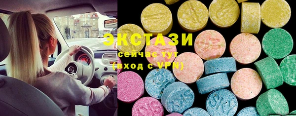 ECSTASY Каменка